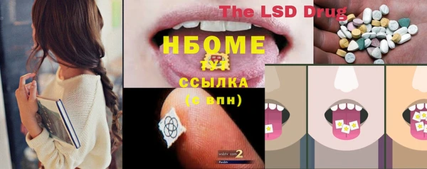 индика Арсеньев