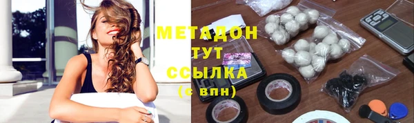 индика Арсеньев