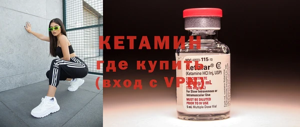 индика Арсеньев