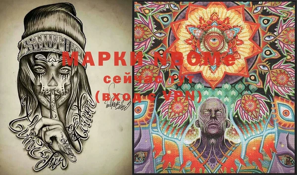 индика Арсеньев